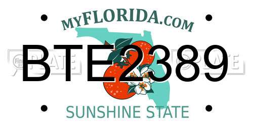 BTE2389 Florida License Plate