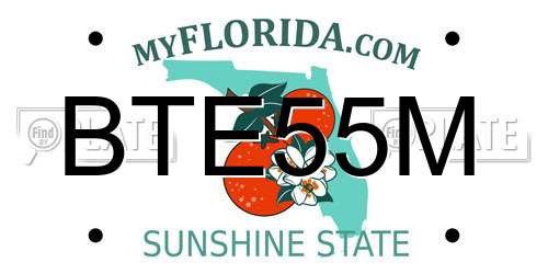 BTE55M Florida License Plate