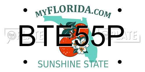 BTE55P Florida License Plate