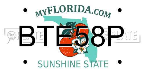BTE58P Florida License Plate