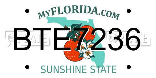 BTE7236 Florida License Plate
