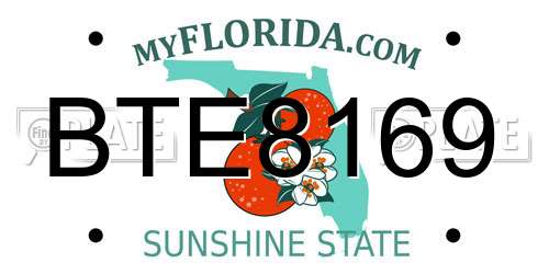 BTE8169 Florida License Plate