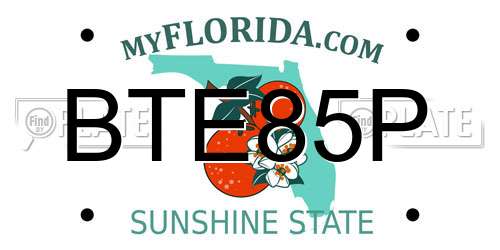 BTE85P Florida License Plate