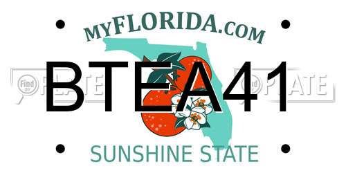 BTEA41 Florida License Plate