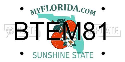 BTEM81 Florida License Plate