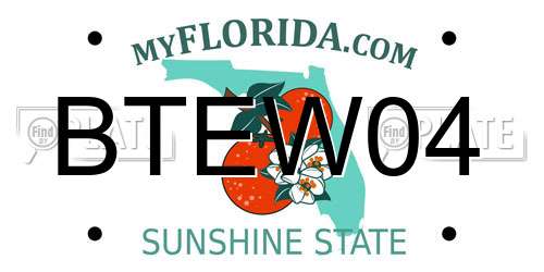 BTEW04 Florida License Plate