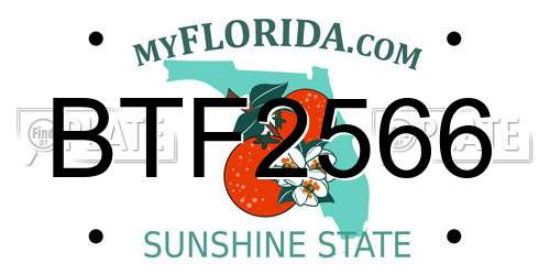BTF2566 Florida License Plate
