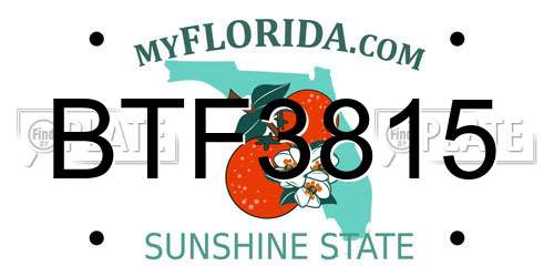 BTF3815 Florida License Plate