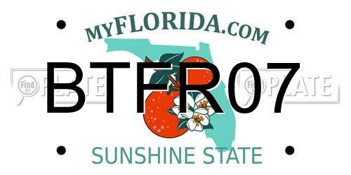 BTFR07 Florida License Plate