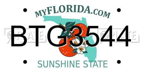 BTG3544 Florida License Plate