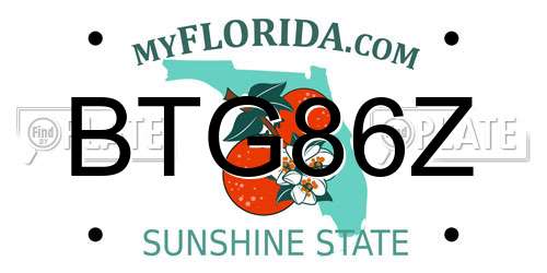 BTG86Z Florida License Plate