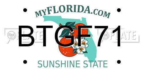 BTGF71 Florida License Plate