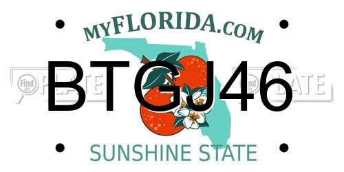 BTGJ46 Florida License Plate
