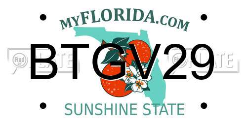 BTGV29 Florida License Plate
