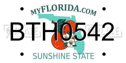 BTH0542 Florida License Plate
