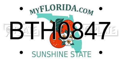 BTH0847 Florida License Plate