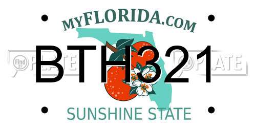 BTH321 Florida License Plate