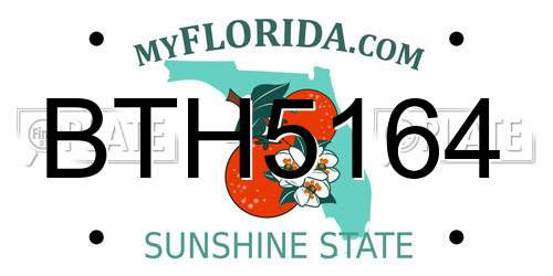 BTH5164 Florida License Plate