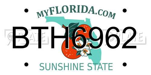 BTH6962 Florida License Plate