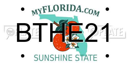 BTHE21 Florida License Plate