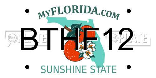 BTHF12 Florida License Plate