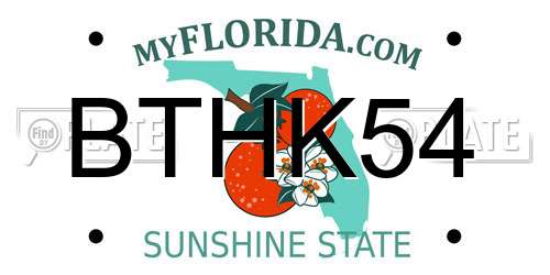 BTHK54 Florida License Plate