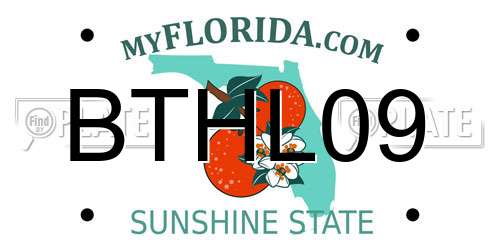 BTHL09 Florida License Plate