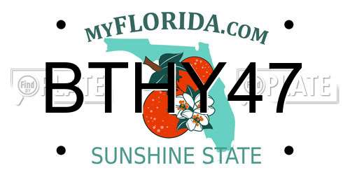 BTHY47 Florida License Plate