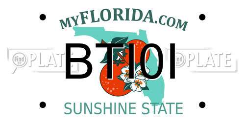BTI0I Florida License Plate