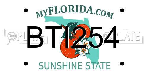 BTI254 Florida License Plate