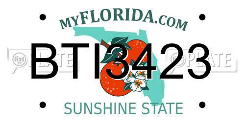 BTI3423 Florida License Plate