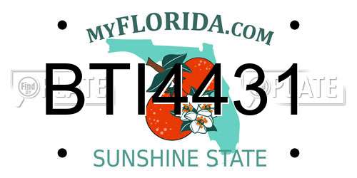 BTI4431 Florida License Plate
