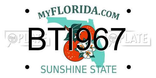 BTI967 Florida License Plate