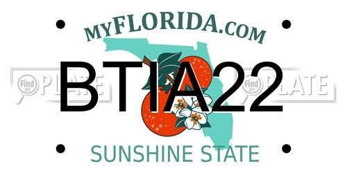 BTIA22 Florida License Plate