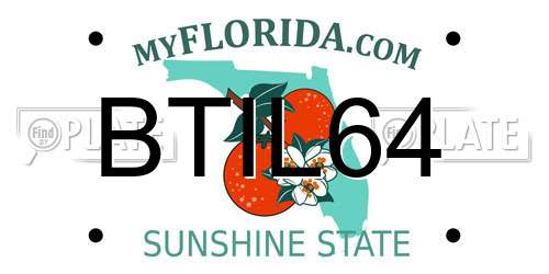 BTIL64 Florida License Plate