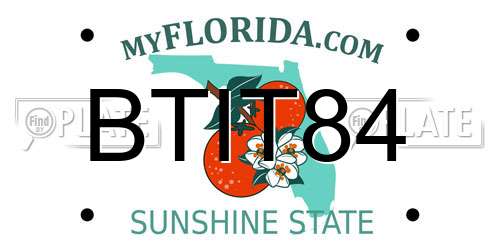 BTIT84 Florida License Plate