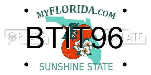 BTIT96 Florida License Plate