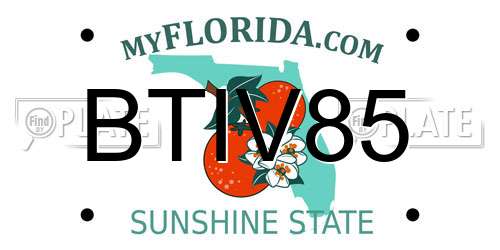 BTIV85 Florida License Plate