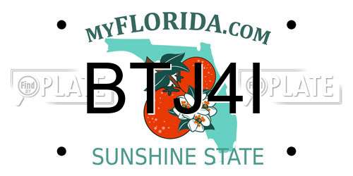 BTJ4I Florida License Plate
