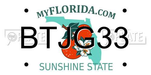 BTJG33 Florida License Plate