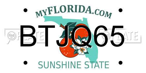 BTJQ65 Florida License Plate