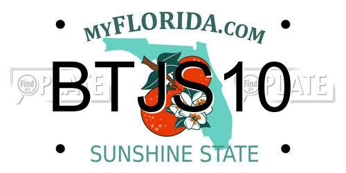BTJS10 Florida License Plate