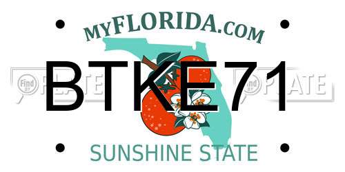 BTKE71 Florida License Plate