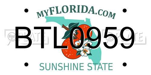 BTL0959 Florida License Plate