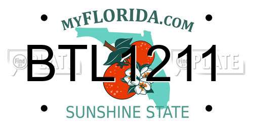 BTL1211 Florida License Plate
