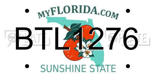 BTL1276 Florida License Plate