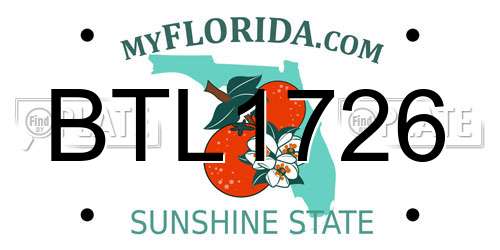 BTL1726 Florida License Plate