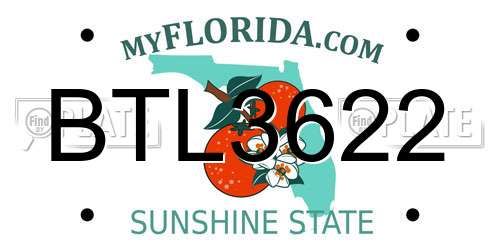 BTL3622 Florida License Plate