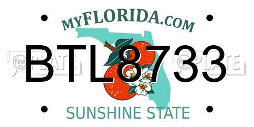 BTL8733 Florida License Plate