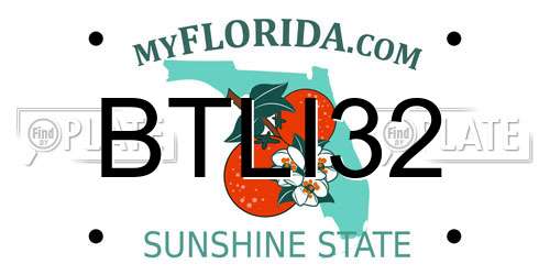 BTLI32 Florida License Plate